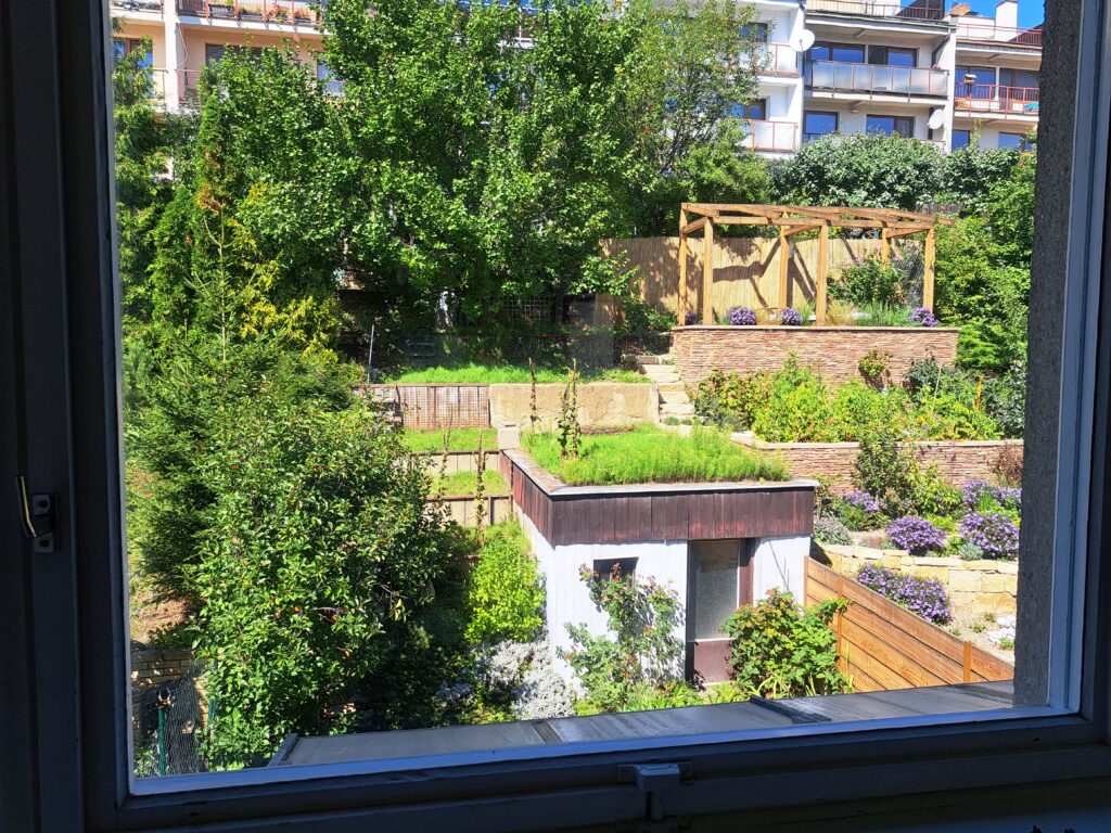 Accommodation for students in Brno on Myslivní. View of the garden.